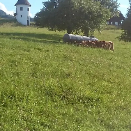 Demelhof Apartmán *